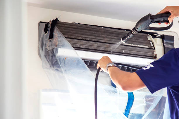 Best Air Duct Mold Removal  in Wayland, IA